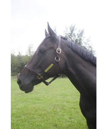 Tack Shack Turnout Leather Halter for Horses | Engraved Name Plate | Brown Leather, Solid Brass | Warmblood Size - Buy Online on GoSupps.com