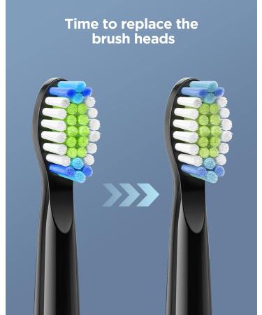Bitvae Dual Ultrasonic Electric Toothbrush 2-Pack with Holders and 8 Brush Heads - 5 Modes, Rechargeable, Black & White | 30 Days Power for Healthy Teeth - Buy Online on GoSupps.com