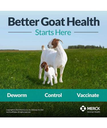 Safe-Guard Fenbendazole Dewormer Liquid 125ml - Effective Parasite Treatment - Buy Online on GoSupps.com