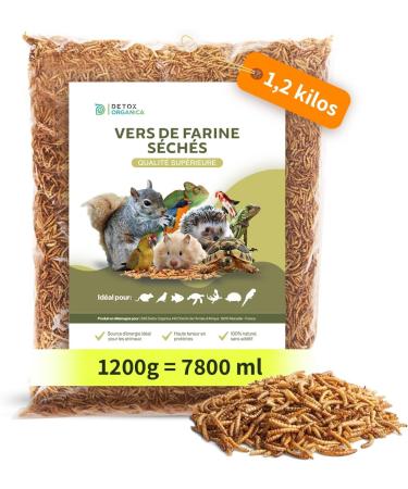 Dried Meal Worms 1.2 kg / 1200 g ( 7800 ml) Premium Quality Treats for Birds Hedgehogs Turtles Reptiles Fish Rodent | W - Buy Online on GoSupps.com