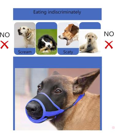 Heele Nylon Dog Muzzle - Adjustable Breathable & Safe for Small & Medium Dogs | Prevent Biting Chewing & Barking (L Blue) - Buy Online on GoSupps.com