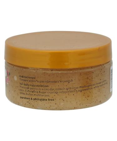 Bodycology Coconut Hibiscus Exfoliating Sugar Scrub | 10.5 oz | Best Women's Body Scrub for Smooth Skin | Shop Internationally - Buy Online on GoSupps.com