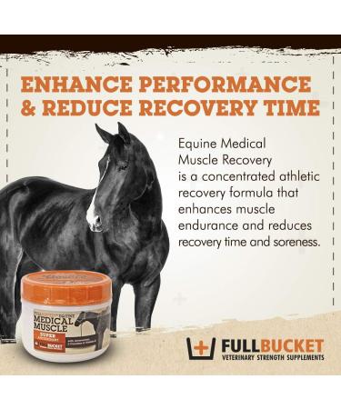 Equine Medical Muscle Recovery - Best Athletic Supplement for Horse Performance & Muscle Recovery - Buy Online on GoSupps.com
