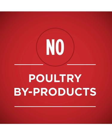 Purina ONE Beef & Brown Rice Dog Food 13oz (Pack of 12) - Nutritious Formula for Dogs - Buy Online on GoSupps.com