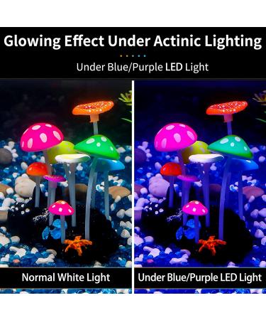 Uniclife Glowing Mushroom Aquarium Plant Decor for Fish Tank Landscape - Buy Online on GoSupps.com