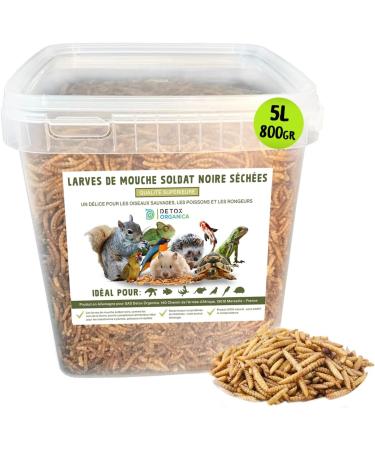 Black Soldier Fly Larva 800g ( 5 liters) PREMIUM QUALITY Black Soldier Fly Treat for Birds Hedgehogs Turtles Reptiles Fish Rodents 100% Natural no additives (800g Soldier Fly) - Buy Online on GoSupps.com