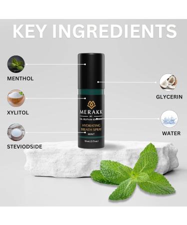 Merakk Dry Mouth Spray Hydrating Fresh Breath Spray (Mint) - Sugar-Free Breath Freshener | Bad Breath Spray W/Xylitol Stevioside Menthol - Dentist-Designed- 0.3 fl oz - Buy Online on GoSupps.com