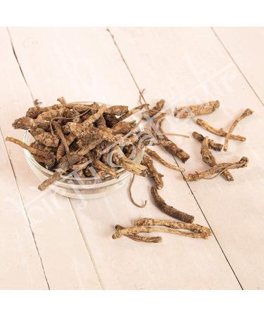 ORGANIZE Birjur Mahavir Kitk Kathu Picrorrorza Kurrrora Kurrora 100 gr Navi Nature BMKB26 - Buy Online on GoSupps.com