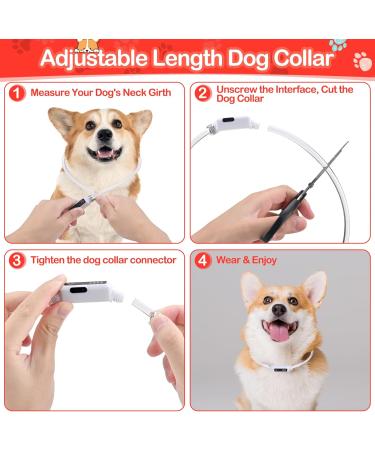 Yordawn Luminous LED Dog Collar - USB Rechargeable Waterproof Adjustable Length 3 Lighting Modes for Small & Medium Dogs and Cats - Enhanced Pet Safety in Red - Buy Online on GoSupps.com