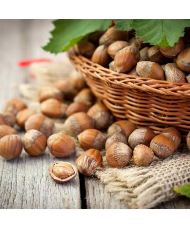 Kuchnia Zdrowia - Whole Hazelnuts - Salt Free - Natural - No Additives - High Quality - Leak Proof Zipper Packaging - Doypack: (1000 Grams) - Buy Online on GoSupps.com
