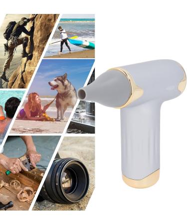 Alomejor Mini Fan - Portable Bladeless Hair Dryer for Pets | 4 Wind Levels 1100mAh Battery - Ideal for Cats & Dogs (Silver - Buy Online on GoSupps.com