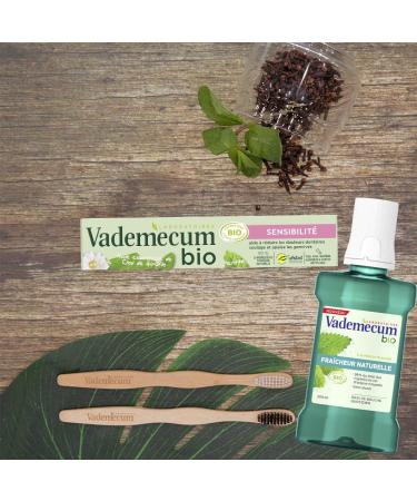 Vademecum Sensitivity Toothpaste with Mint and Clove Essential Oil Certified Organic 99% Natural Ingredients 75ml - Buy Online on GoSupps.com