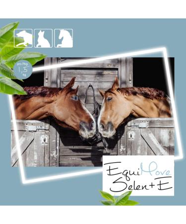 Equimove Selen + E: High-Dose Pellets for Muscle Endurance - 50 000 mg Vitamin E & 20 mg Selenium 1.5 kg - German Quality for Selenium Deficiency Prevention - Buy Online on GoSupps.com