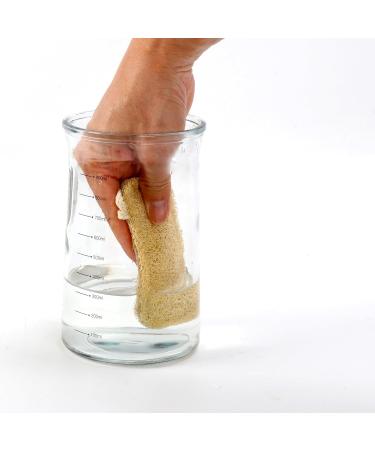 surebuy Sourdough Starter Jar Kit Lid Set 34oz Wide Mouth Silicone Scraper Cloth Cover Thermometer Design Measuring Spoon For Sourdough Baking Flour jar All Flours Red (1 Kit) - Buy Online on GoSupps.com