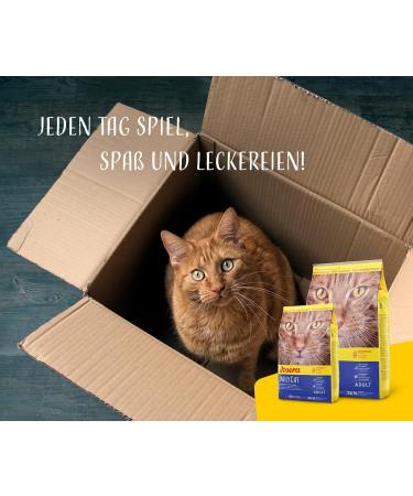 Josera Dailycat - Cereal-Free Super Premium Dry Cat Food (400g) with Poultry Herbs & Fruits | Best for Adult Cats - Buy Online on GoSupps.com