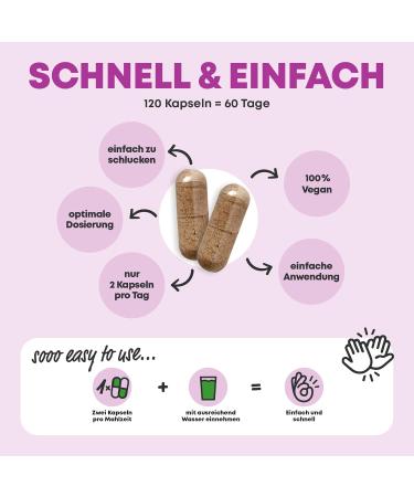 Mary Thistle Artichoke Dandelion Choline Complex - 120 Capsules (80% Silymarin) for Liver Health | 6-Pack - International Shipping Available - Buy Online on GoSupps.com