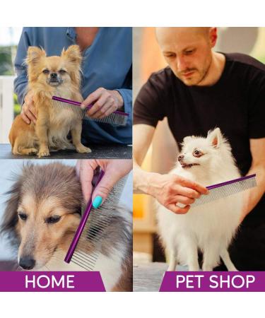 10-Inch Pet Comb with Rounded Stainless Steel Teeth for Comfortable Grooming - Purple - Buy Online on GoSupps.com