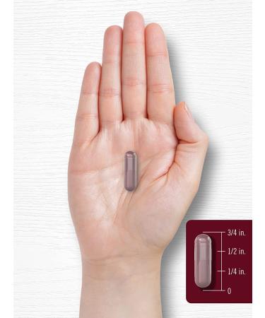 Black Cherry Extract Concentrate 2800mg | 240 Capsules | Non-GMO & Gluten Free | Prunus Serotina Supplement - Buy Online on GoSupps.com