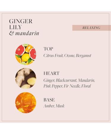 Buy Grace Cole Ginger Lily & Mandarin Hand & Body Lotion 300ml - Vegan Cruelty-Free Moisturising & Nourishing - International Shipping Available - Buy Online on GoSupps.com