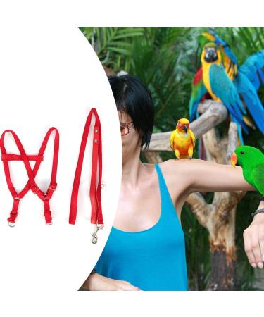 Felenny Bird Dishes & Leash - Adjustable Outdoor Accessories for Scarlet Macaw Sun Conure and Nymphensittich - Anti-Bite Protection (Large Red) - Buy Online on GoSupps.com