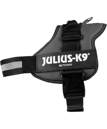 K9 Powerharness L/1 Anthracite - Durable Dog Harness for All Sizes | International Shipping Available - Buy Online on GoSupps.com