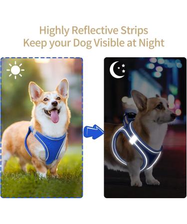 Buy Heele Soft Dog Dishes & Adjustable Harness Vest - Royal Blue XS | Safe Reflective & Perfect for Walking Running & Training - Buy Online on GoSupps.com