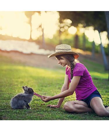 Premium Timothy Hay Sticks: Natural & Nutritious Treats for Small Pets - Buy Online on GoSupps.com