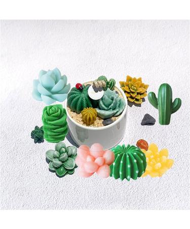 Timisea 6 Pack Succulent Silicone Mold for DIY Cactus Flower Resin Crafts - Buy Online on GoSupps.com
