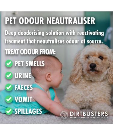 Dirtbusters Pet Odour Eliminator Spray - Enzymatic Deodoriser Wild Fig & Cassis 500ml - Buy Online on GoSupps.com