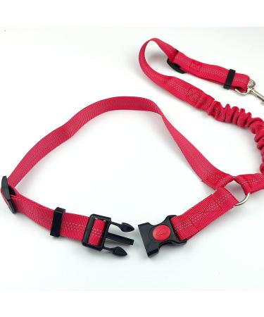 Dog Safety Harness | Car Seat Belt for Small & Medium Dogs | Puppy Accessories in Red - International Shipping - Buy Online on GoSupps.com