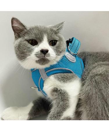 Joyal Reflective Soft Padded Dog Harness - Air-Mesh Breathable for Puppies & Cats | XXXS (27-31cm) - Baby Blue - Buy Online on GoSupps.com