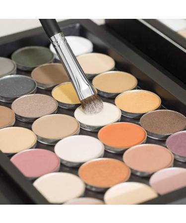 Buy Basic Eyeshadow Makeup Brush Set - 4pc Professional Eye Makeup Brushes for Blending & Smudging | Affordable Beauty Junkees - Buy Online on GoSupps.com