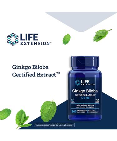 Life Extension Ginkgo Biloba Extract 120mg - 365 Vegetarian Capsules for Mental Clarity - Buy Online on GoSupps.com