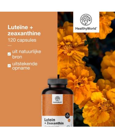 Be Healthy Group doo Lutein + Zeaxanthin 120 Vegetable Capsules 2 Natural Carotenoids 32mg Lutein and 2mg Zeaxanthin per Daily Dose for 2 4 Months Support Vision & Eyes - Buy Online on GoSupps.com