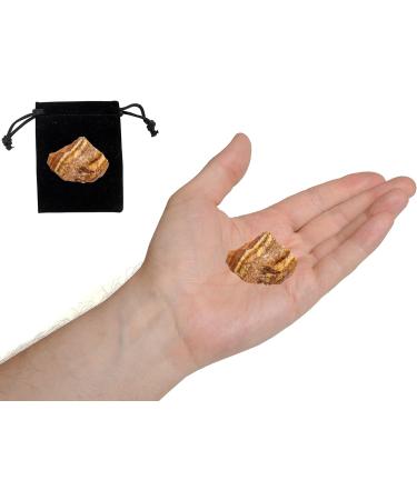 Tiger's Eye Raw Crystals 1.25-2.0 Large Natural Rough Stones for Healing, Tumbling, Cabbing & Decoration - Wicca, Reiki - Buy Online on GoSupps.com