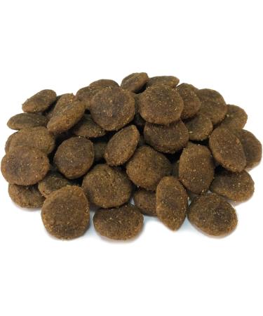 ARQUIVET - GRAIN FREE - Croquettes for adult dogs - Turkey with vegetables - 12 kg - Buy Online on GoSupps.com