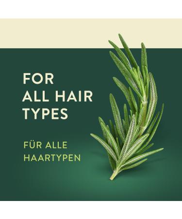 Hair oil with rosemary oil 100ml with pipette for simple appliance - Buy Online on GoSupps.com