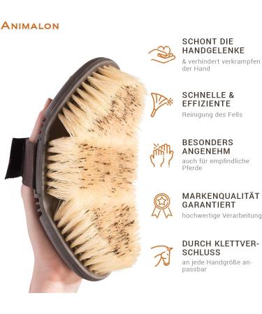 Animalon Careflex Root Brush - Natural Horse Brush with Hard Bristles Ergonomic Design Flexible Cardboard & Velcro Fastener - Premium Quality Care for Your Horse - Buy Online on GoSupps.com