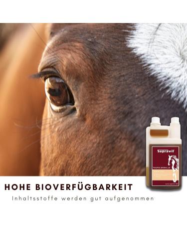 Buy Supravit Devils Claw Horse 1000ml | Support Musculoskeletal Health Naturally | International Shipping - Buy Online on GoSupps.com
