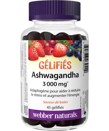 Webber Naturals Ashwagandha Gummy 45 Berry Flavoured Gummies Helps to Reduce Stress & Vitamin D3 2500 IU 75 Gummies For Healthy Bones Teeth - Buy Online on GoSupps.com