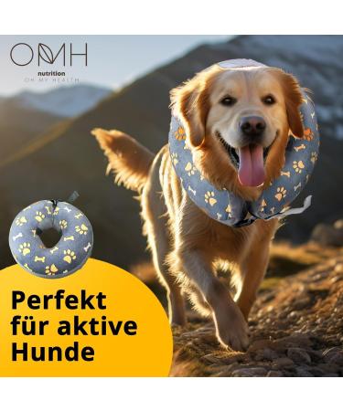 Inflatable Leak Protection Collar for Dogs & Cats - Soft Surgical Dog Collar | OMH_Dog Collar_M - Buy Online on GoSupps.com