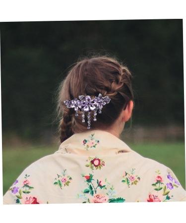 MAGICLULU Hairpin Lady Hair Clip Hair Barrettes Accessories Fashion Hair Clips Hair Jewelry for Braids Rhinestone Trim Decor Women Barrette Crystal Back of Head Miss Zinc Alloy Purple - Buy Online on GoSupps.com