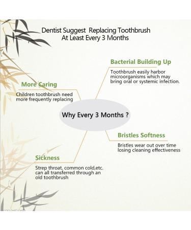 Eco-Friendly Bamboo Toothbrush - Dark Soft Bristles with Activated Carbon | Sustainable Proco-Wood Design - Buy Online on GoSupps.com