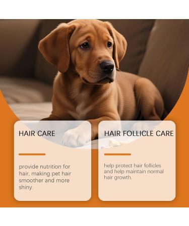 Comprim s Croquer De Vitamines pour Animaux De Compagnie pour Chiens Et Chats Nutrition Quotidienne Soutien d'un Pelage Sain Soins des Articulations Multivitamines M cher - Buy Online on GoSupps.com