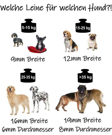 Bio-Line Light 9mm Biothane Tow Leash for Small Dogs - 3 to 25m Dirt & Water-Repellent 3m Gray - Buy Online on GoSupps.com