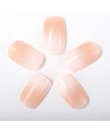 NOVO OVO Short Square Ombre Nude Gradient White Pink French Tip Fake False Press On Nails Kit with Glue - Milk Hat UK - Buy Online on GoSupps.com