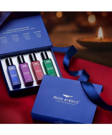 Par.k Ave'nue Luxury Perfume Gift Set for Men 4x20 ml | Euphoria Conquer Harmony & Discoverer Perfume | Eau De Parfum | Premium Luxury Perfume for Corporate Man | Long lasting | Diwali Gift Hampers