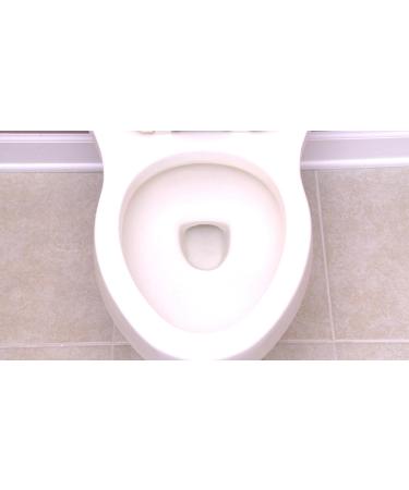 Spark Innovators RingX Natural Pumice Stone Toilet Bowl Cleaner - Eco-Friendly Effective & International Shipping Available - Buy Online on GoSupps.com