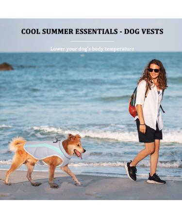 Shop Dog Cooling Vest - Breathable Mesh Jacket for All Dog Sizes | Adjustable & Reflective Stripes - Ideal for Outdoor Activities - Buy Online on GoSupps.com