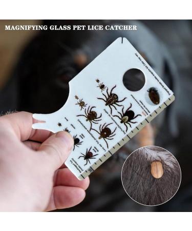Professional Small Card With Magnifier Remover Card With Glass Lightweight Remover For Pets Hiking Remover Prevention Tool Identification Card Pets Lice - Buy Online on GoSupps.com